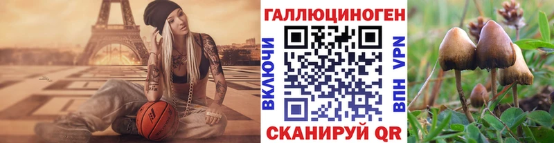 Купить Белоярский Галлюциногенные грибы Cubensis