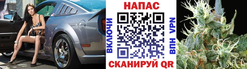 Конопля Bruce Banner  Купить  Белоярский 